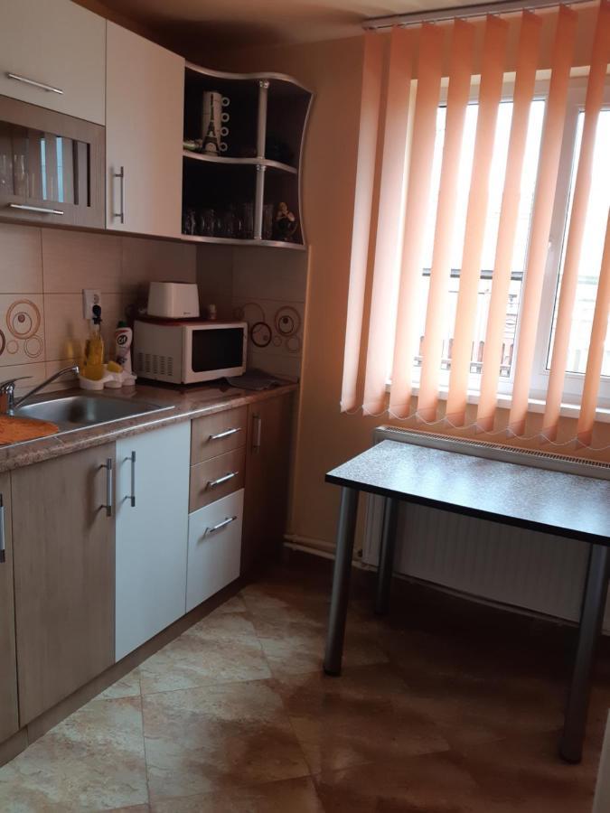 Vila Georgeta Zărneşti Exteriör bild