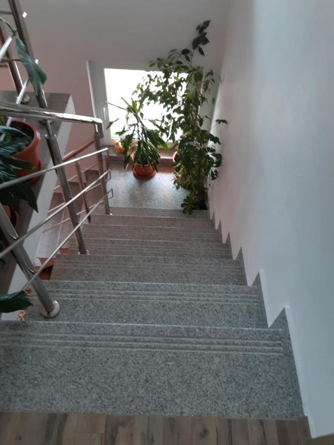 Vila Georgeta Zărneşti Exteriör bild