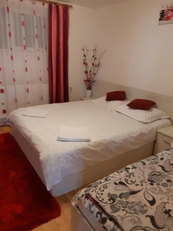 Vila Georgeta Zărneşti Exteriör bild