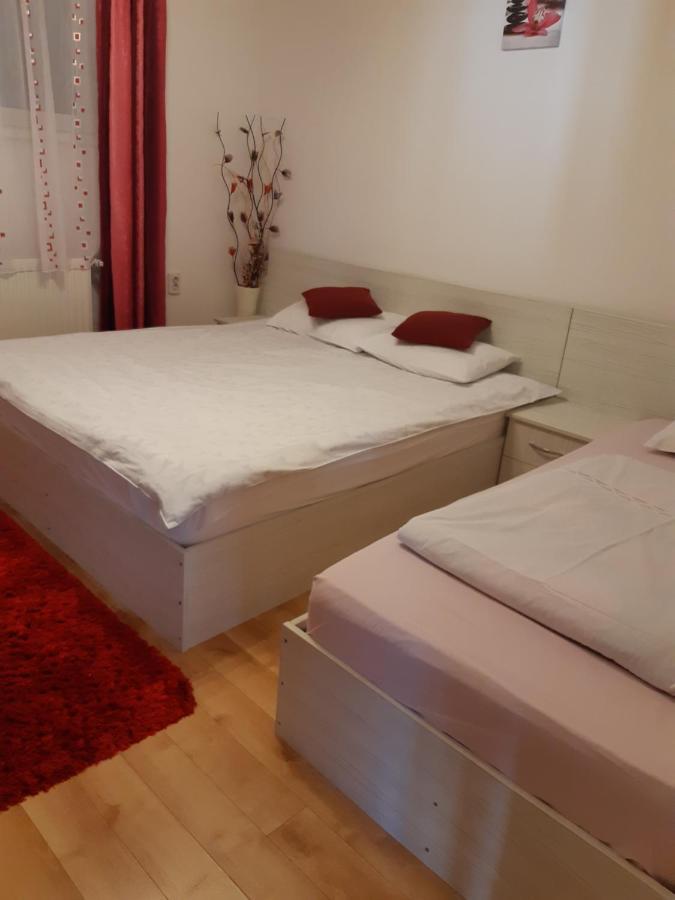 Vila Georgeta Zărneşti Exteriör bild