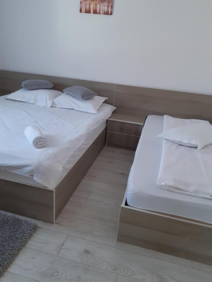 Vila Georgeta Zărneşti Exteriör bild