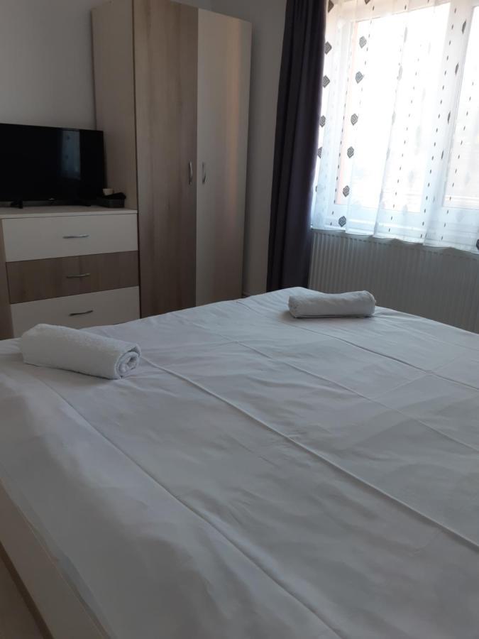 Vila Georgeta Zărneşti Exteriör bild