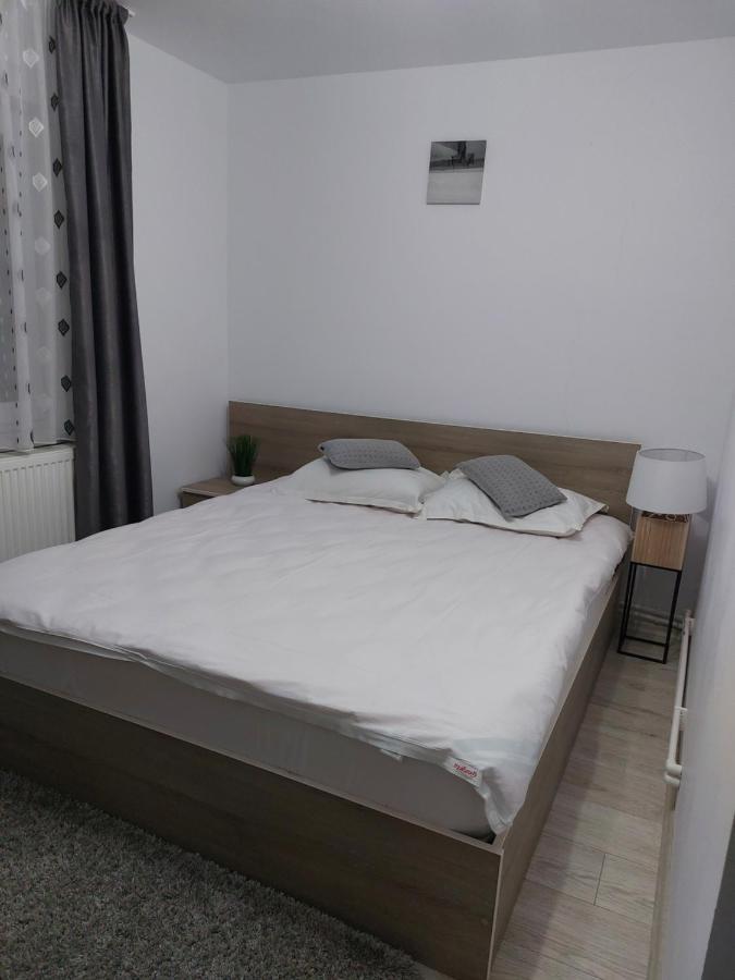 Vila Georgeta Zărneşti Exteriör bild