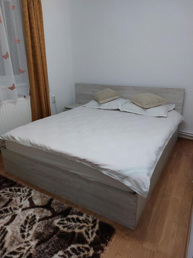Vila Georgeta Zărneşti Exteriör bild