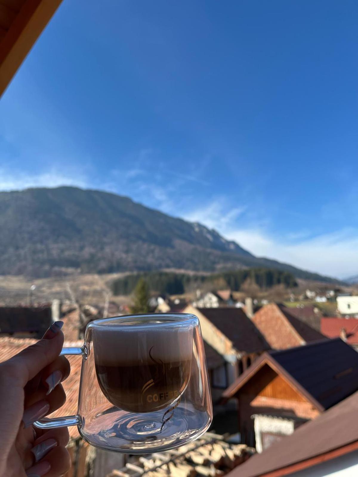 Vila Georgeta Zărneşti Exteriör bild