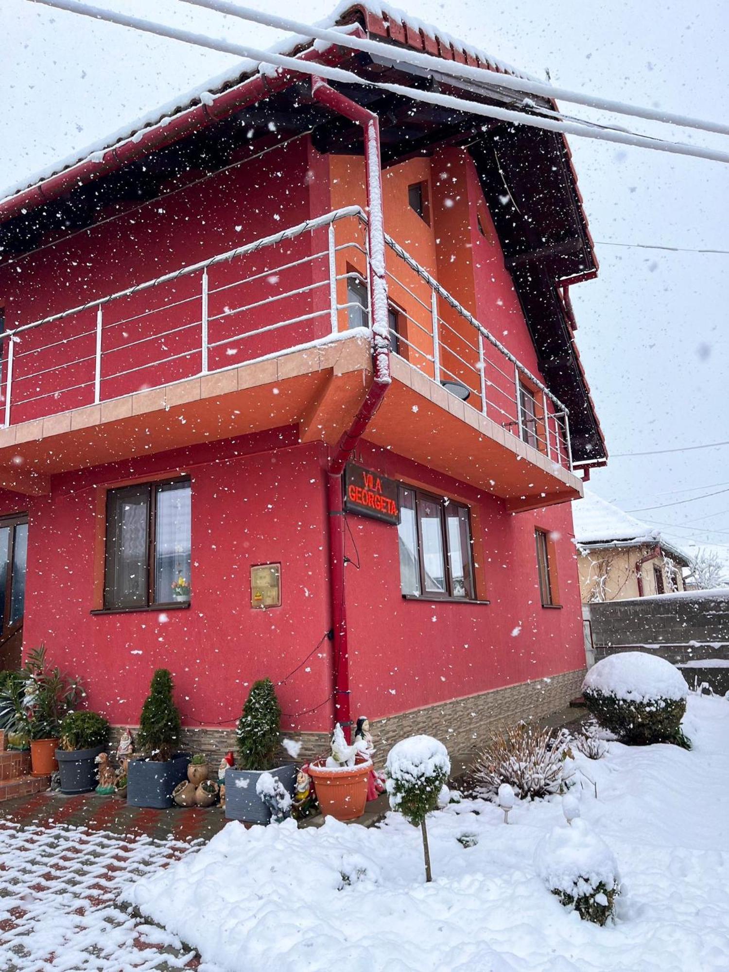 Vila Georgeta Zărneşti Exteriör bild